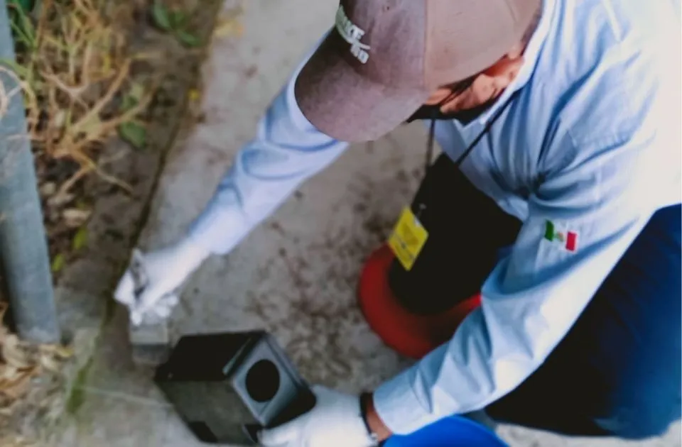 "Técnico de SEPROFU colocando trampa para control de roedores