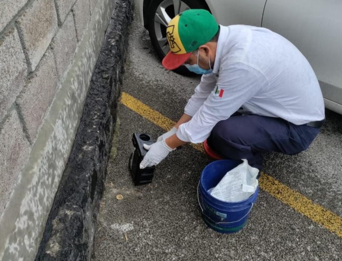 Técnico colocando un cebadero para desratización en una zona exterior