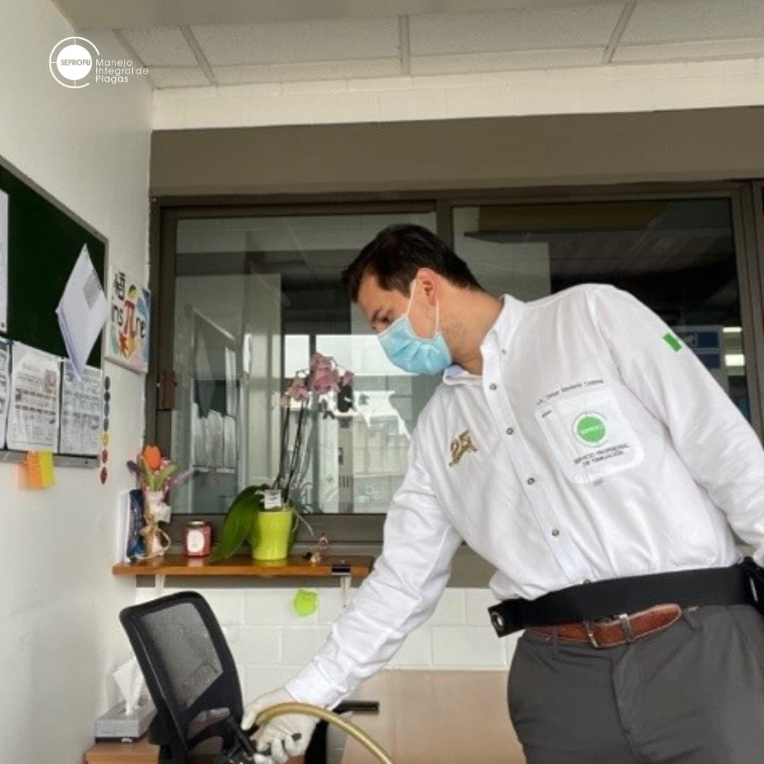 Técnico de SEPROFU realizando sanitización en escritorio de oficina para control integral de plagas.