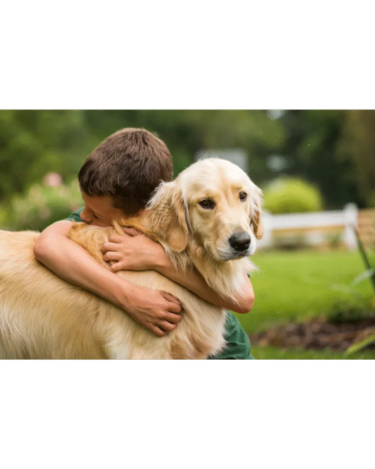 Niño abrazando a su perro en un jardín, representando un entorno seguro tras fumigación con productos aprobados.