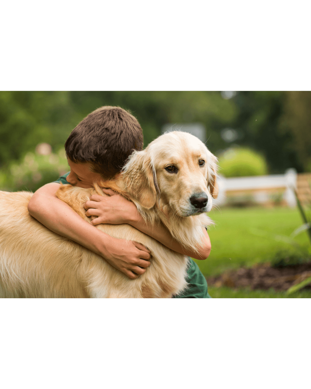 Niño abrazando a su perro en un jardín, representando un entorno seguro tras fumigación con productos aprobados.