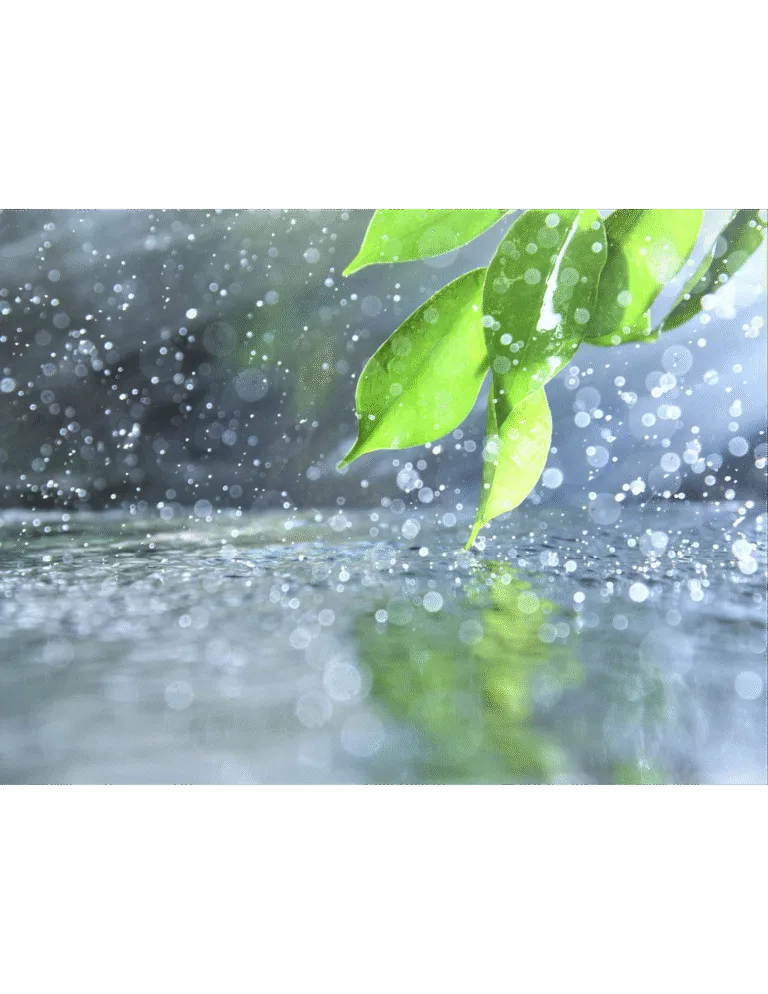 Lluvia
