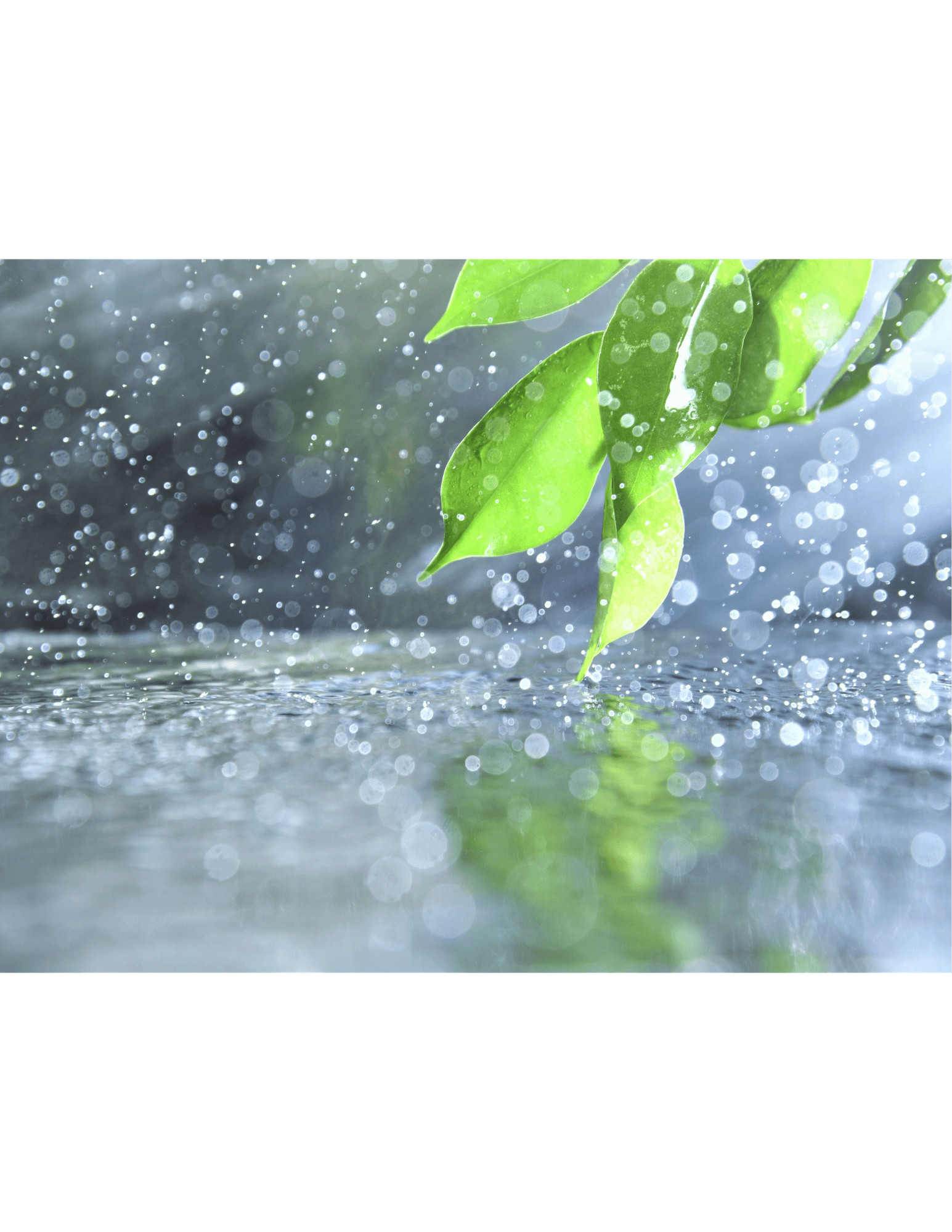 Lluvia